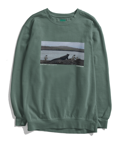 Isabella Island Galapagos Sweatshirt