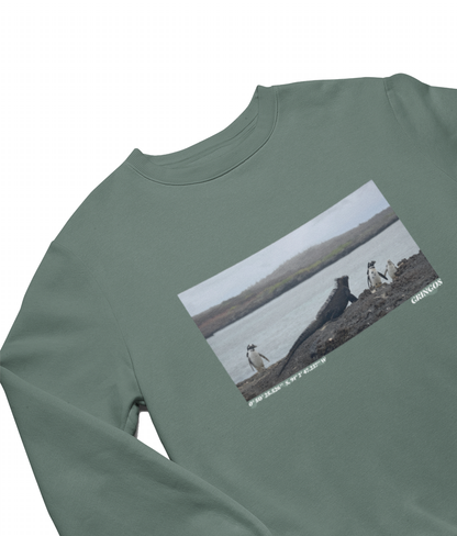 Isabella Island Galapagos Sweatshirt