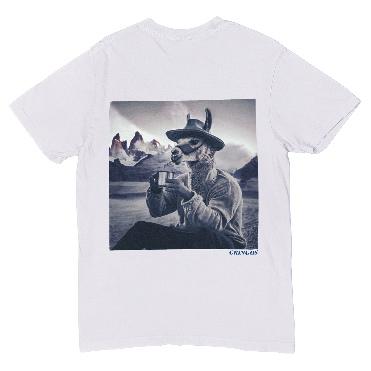 Patagonia Yerba Mate Llama - Premium Tee